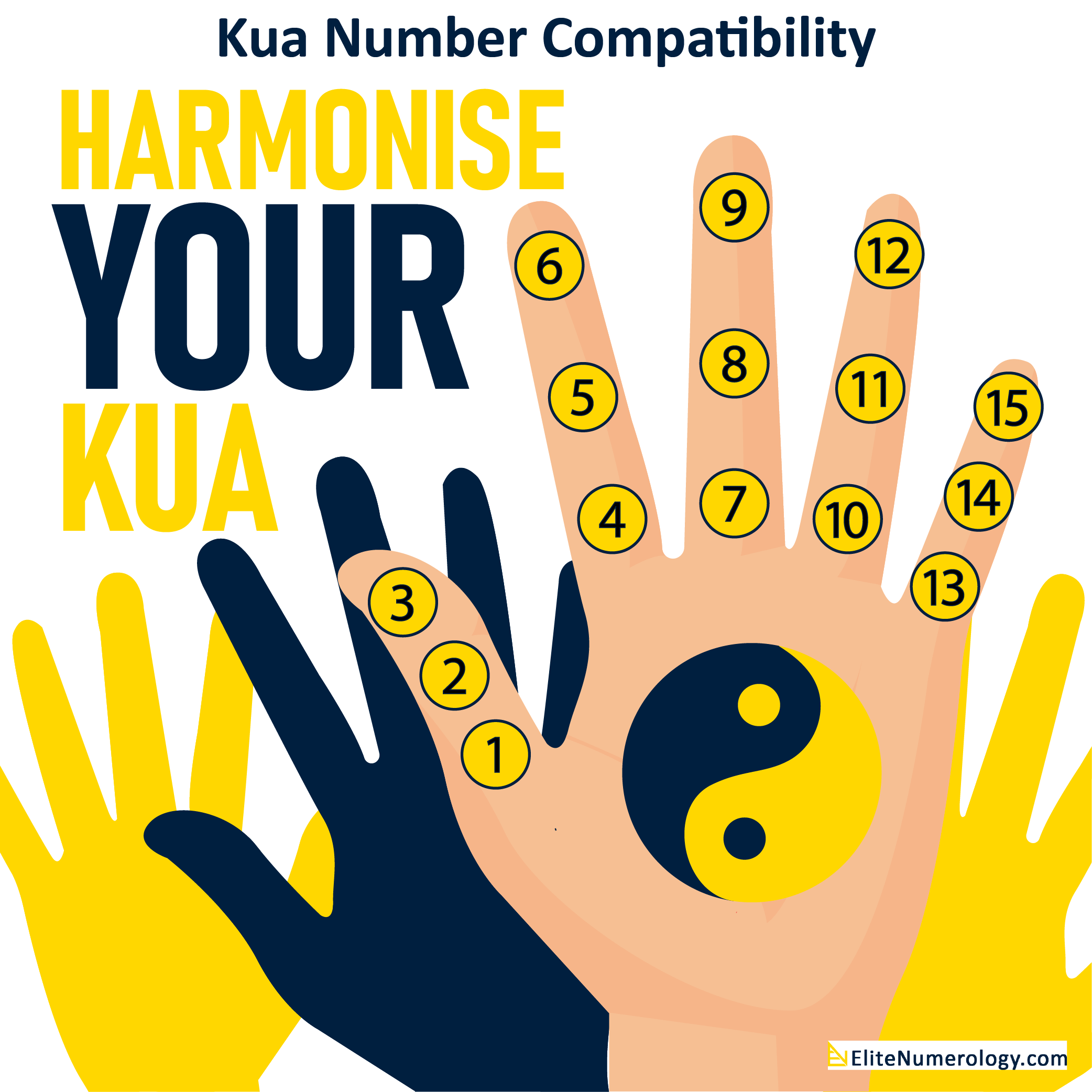 Numerology Kua Compatibility Calculator Tool