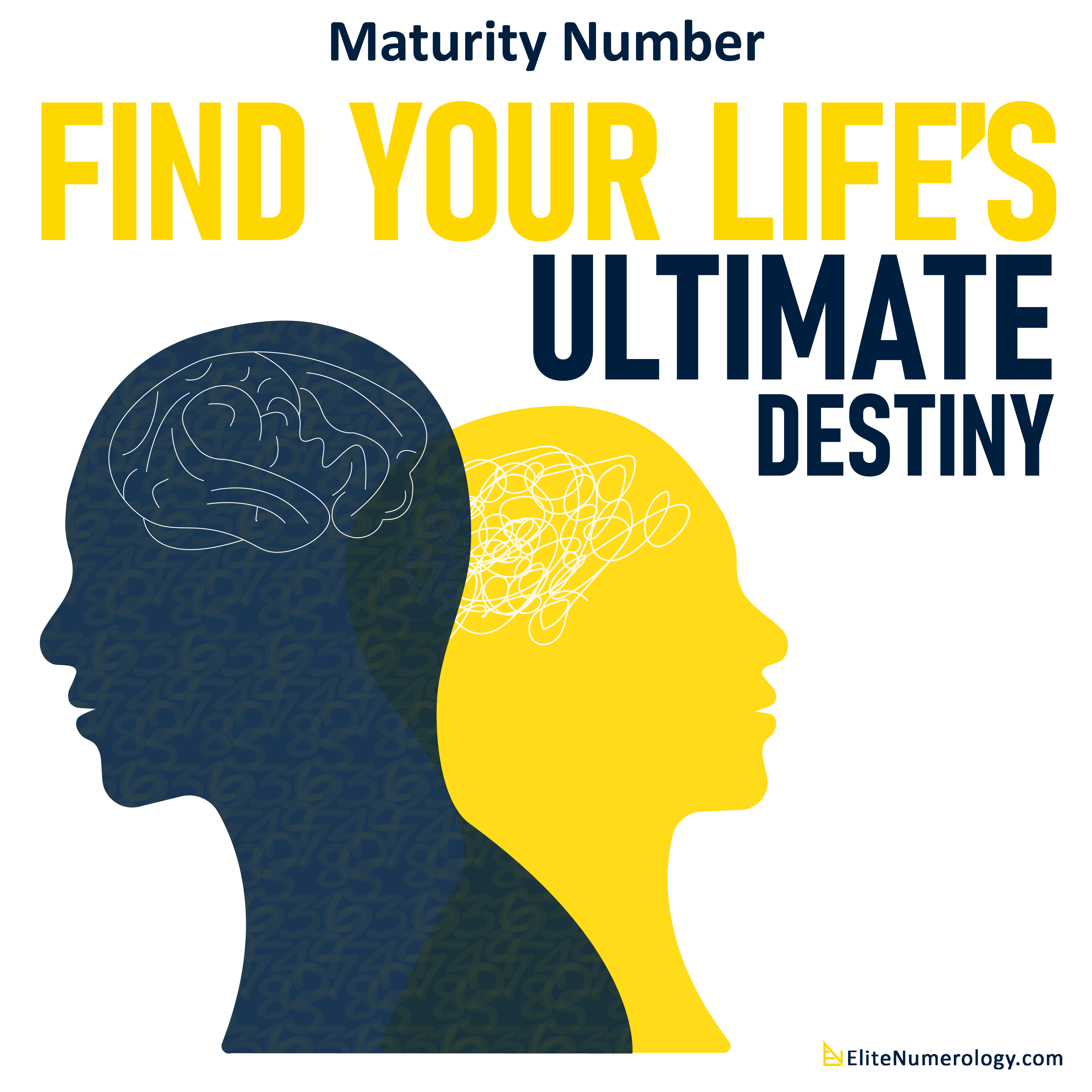 Numerology Maturity Number Calculator Tool